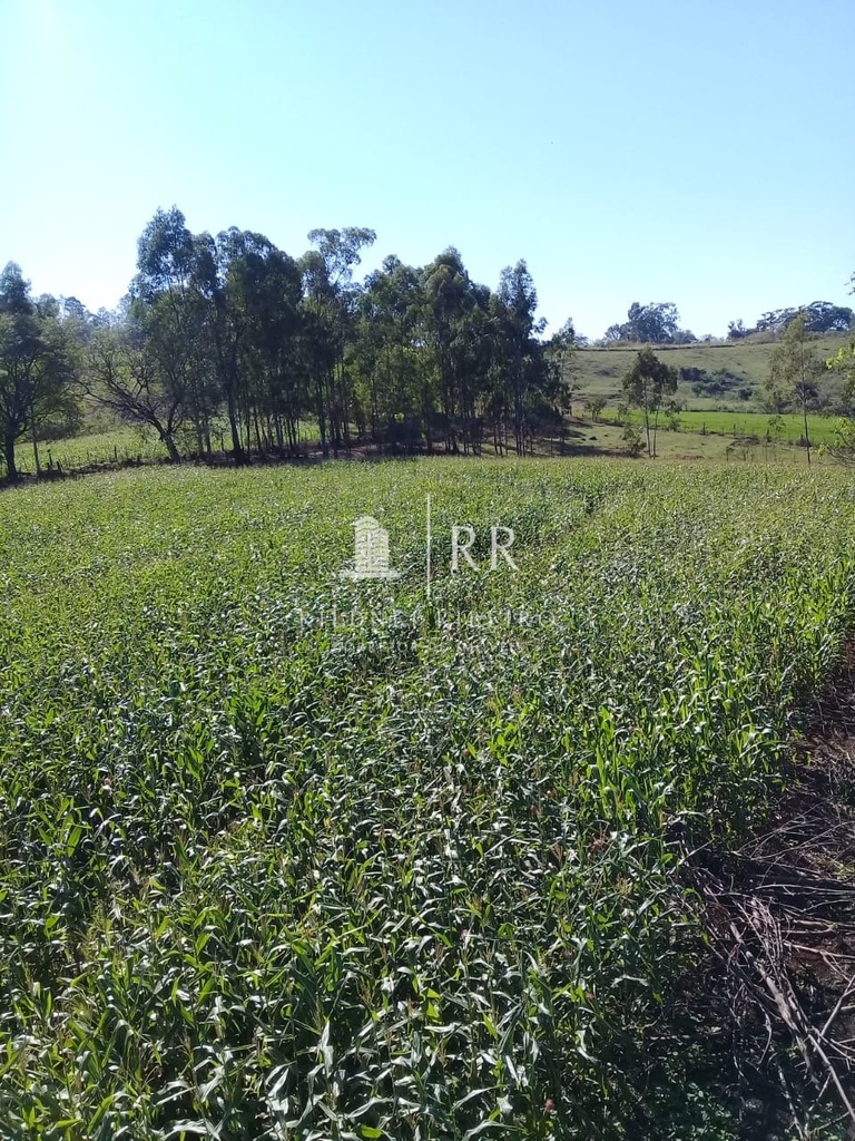 commercial-/-agricultural-3-quartos-400m2-pinheiro-ibipora-pr