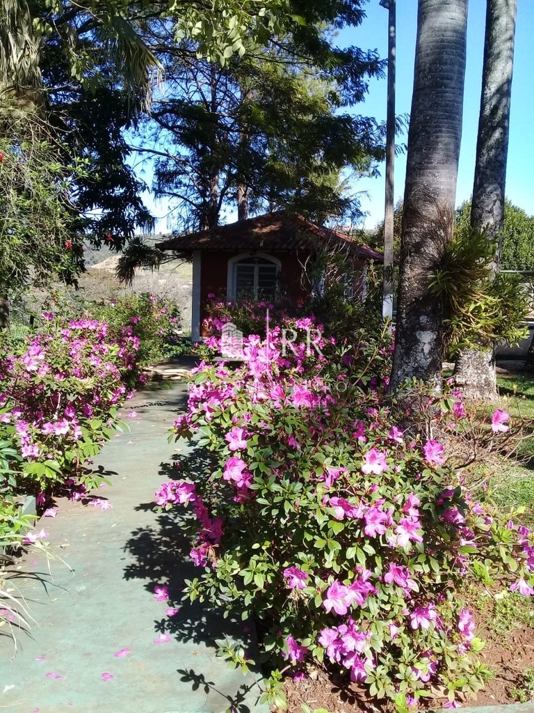 commercial-/-agricultural-3-quartos-400m2-pinheiro-ibipora-pr