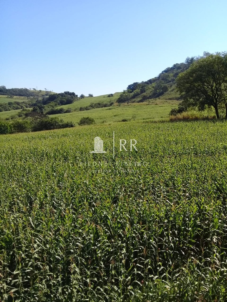 commercial-/-agricultural-3-quartos-400m2-pinheiro-ibipora-pr
