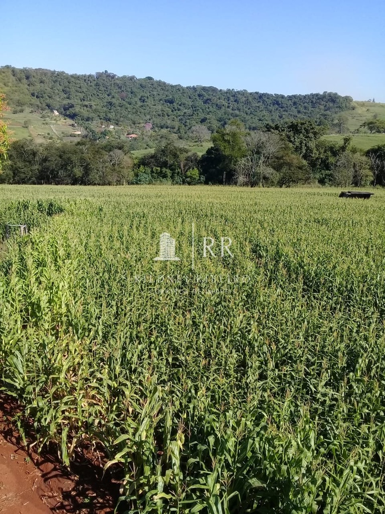 commercial-/-agricultural-3-quartos-400m2-pinheiro-ibipora-pr