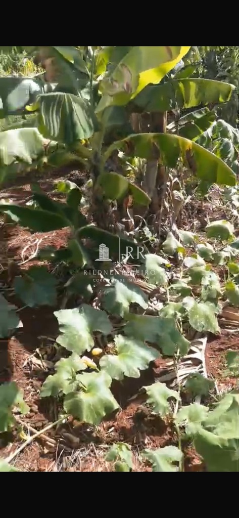 residential-/-farm-ranch-2-quartos-1000m2-esperanca-do-norte-alvorada-do-sul-pr
